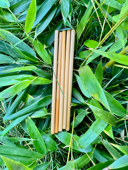 Paille en bambou