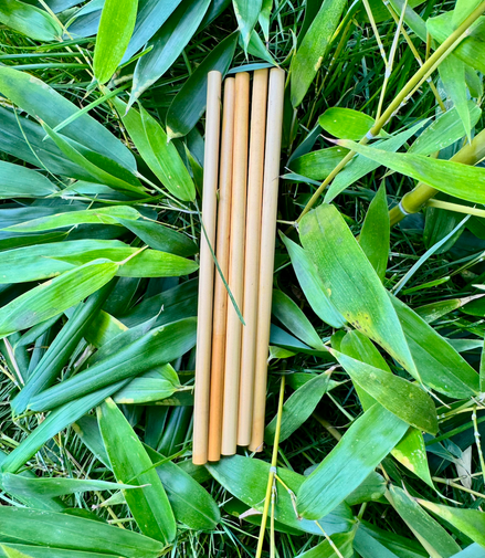 Paille en bambou